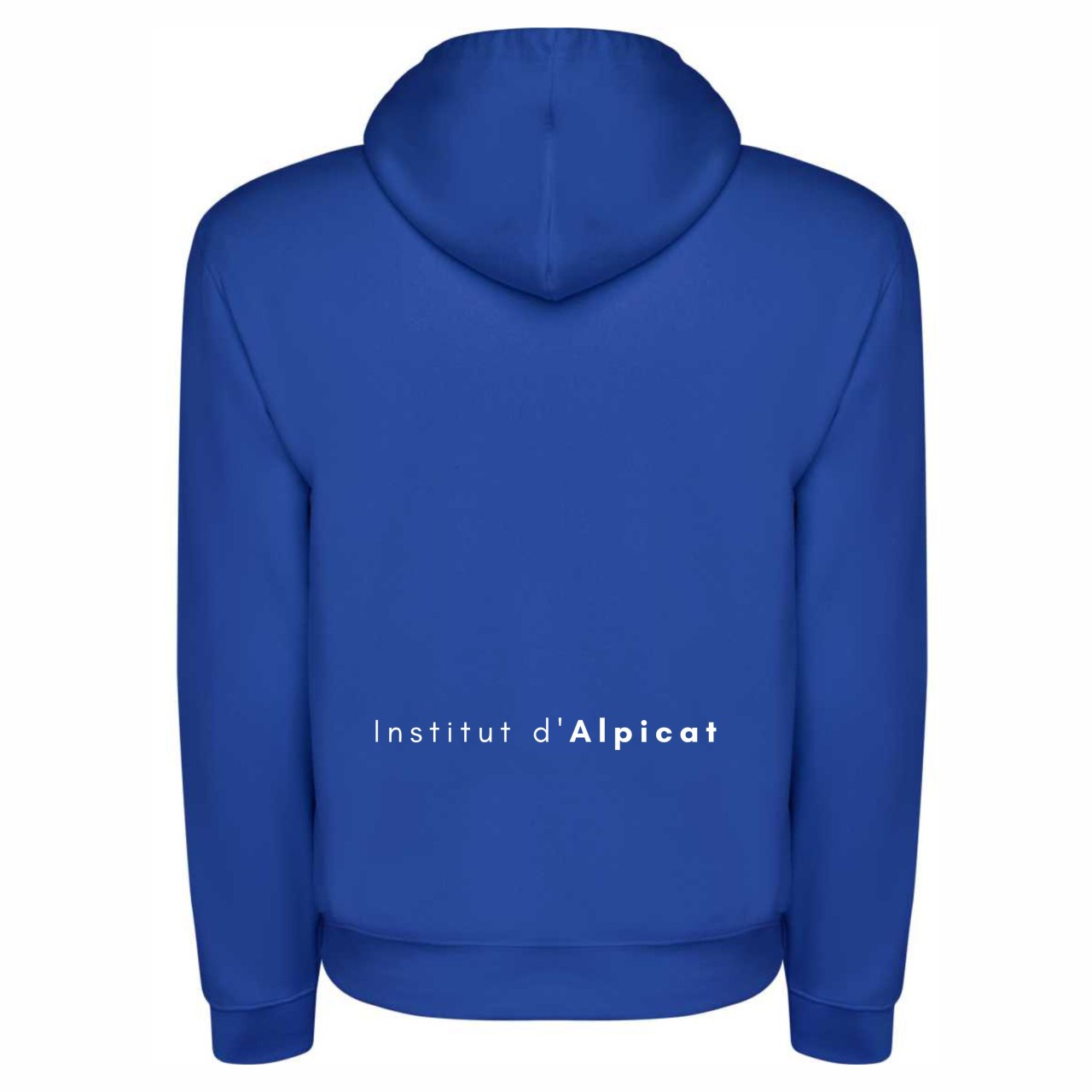 Dessuadora Ins. Alpicat